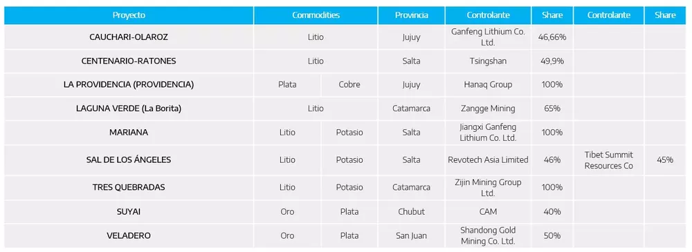 Proyecto de capitales chinos en Argentina 