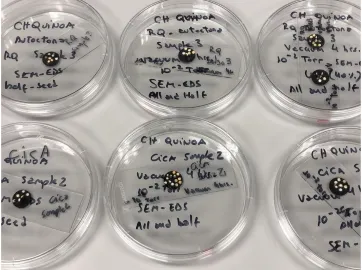 PAMELA SUCH semillas de quinoa analizadas en camaara de vacio y laser.jpeg