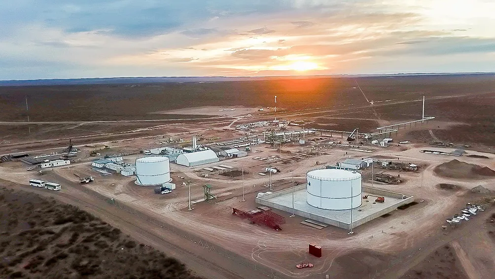 vaca meuerta punciones