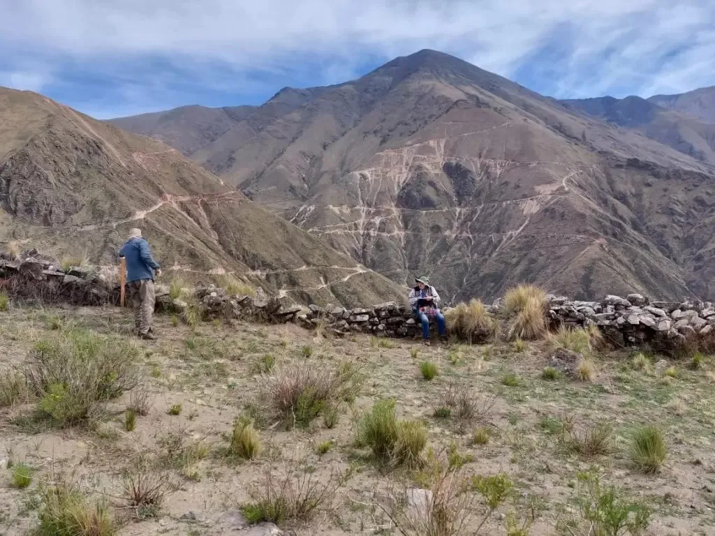 WhatsApp Image 2026-01-19 at 21.06.08