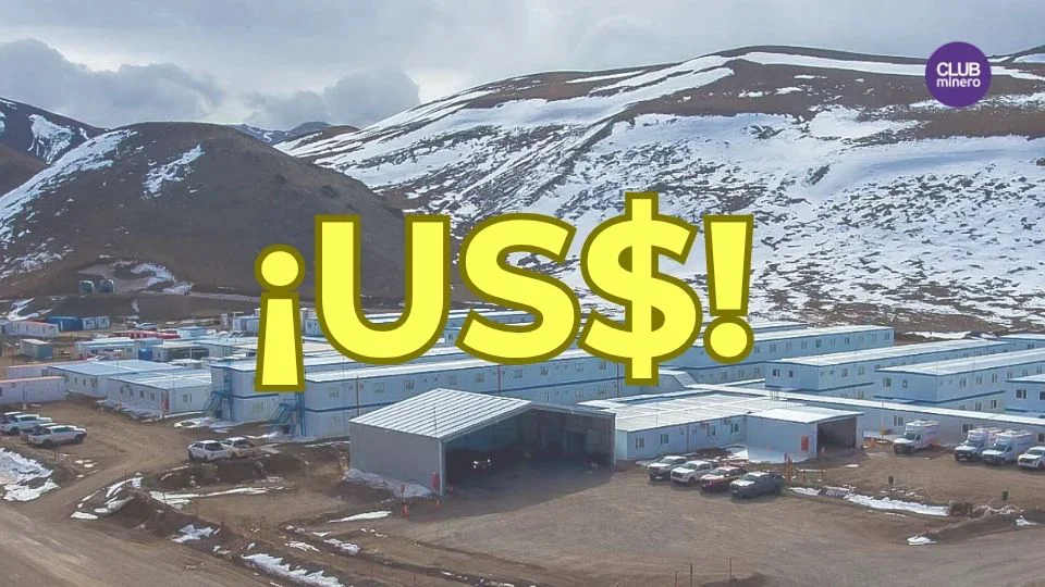 VICUÑA Y us$