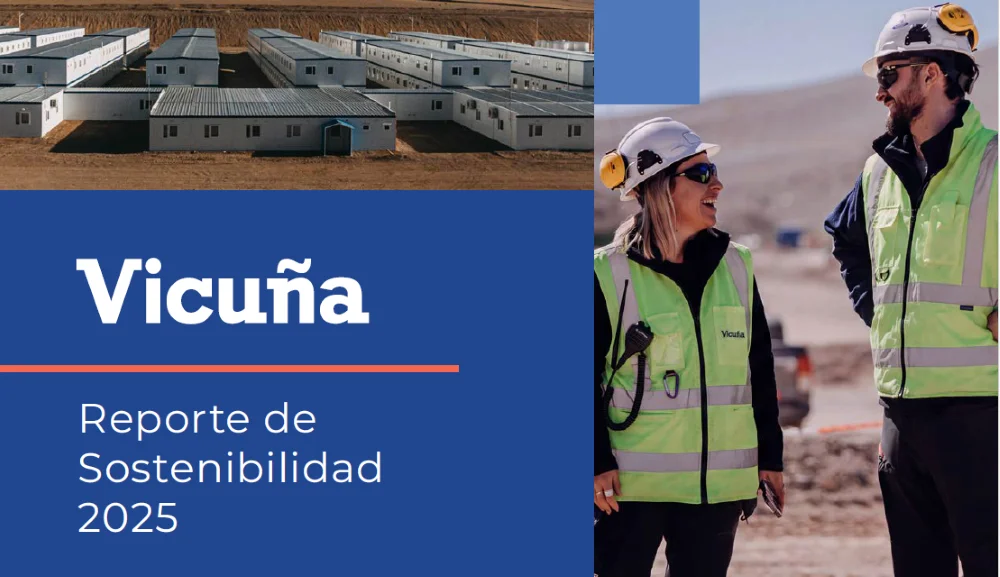 TAPA REPORTE VICUÑA