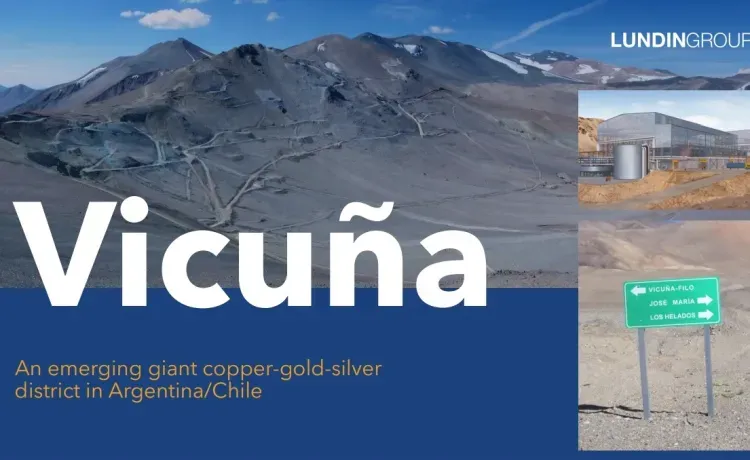 Vicuña