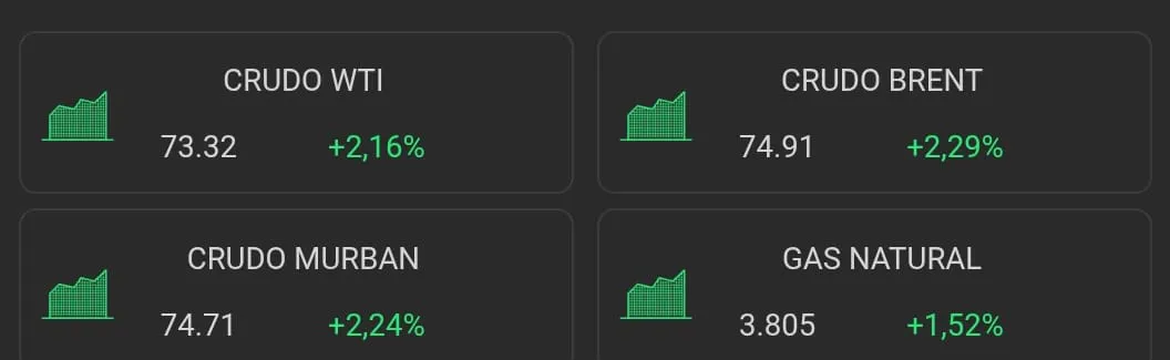 WhatsApp Image 2025-06-17 at 09.22.25