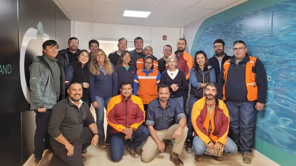 EXAR RSE AUDITORÍA FEBRERO 24