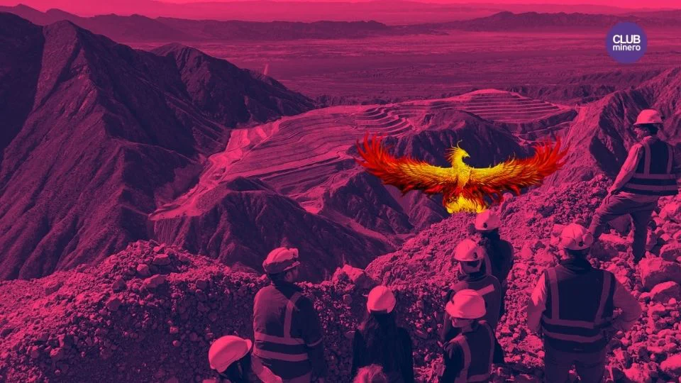 GUALCAMAYO AVE FENIX