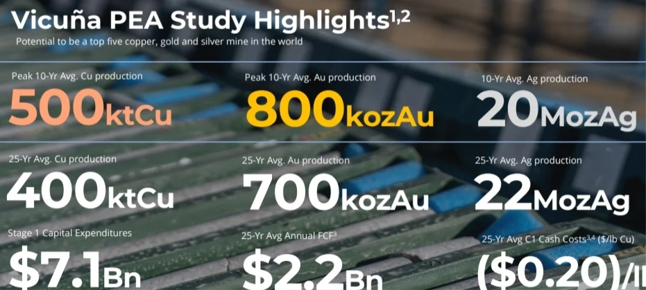 VICUÑA PEA RECURSOS