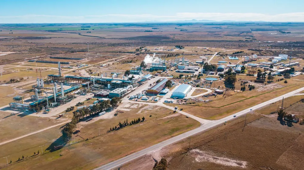 WhatsApp Image 2025-06-10 at 11.21.05