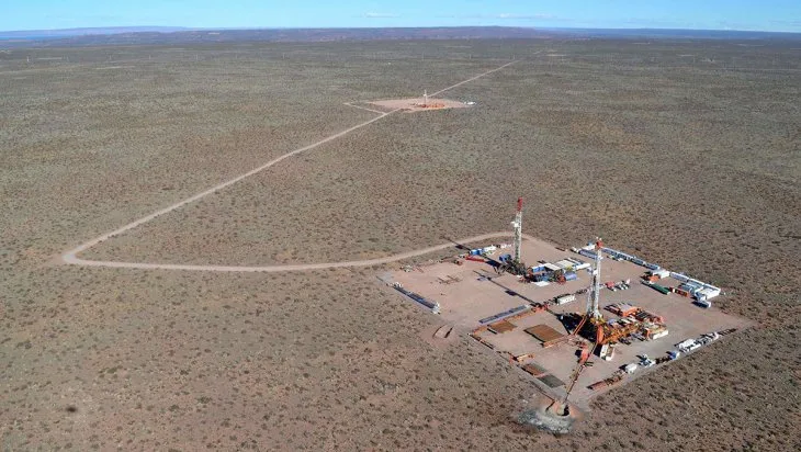 vaca-muerta-genericajpg