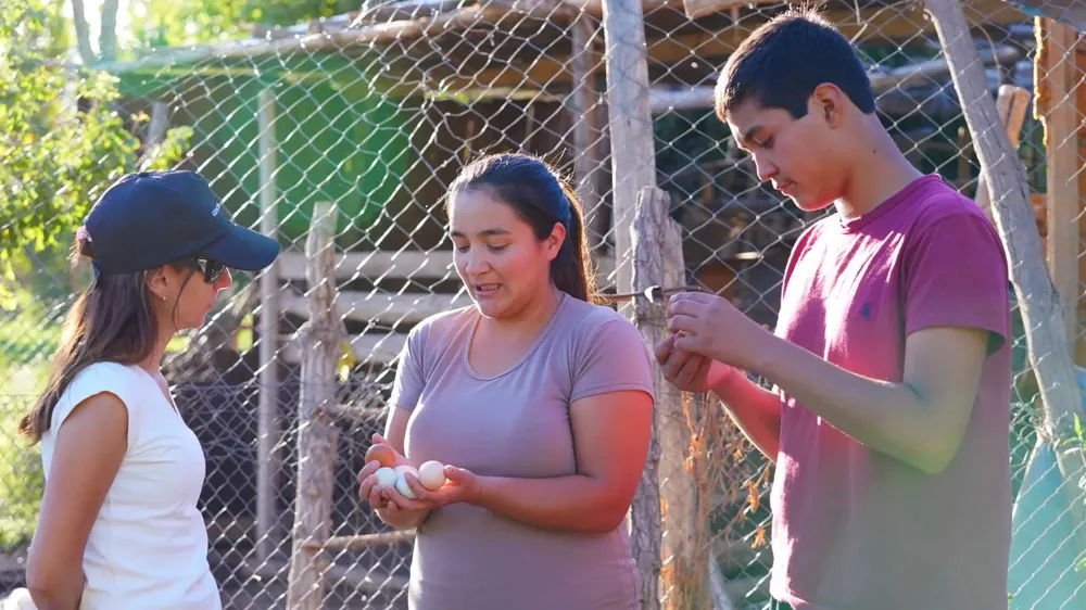 WhatsApp Image 2025-07-03 at 17.12.47