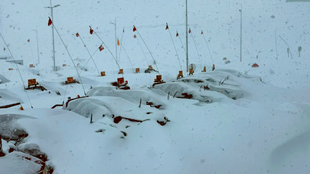 Bajo nieve en Veladero