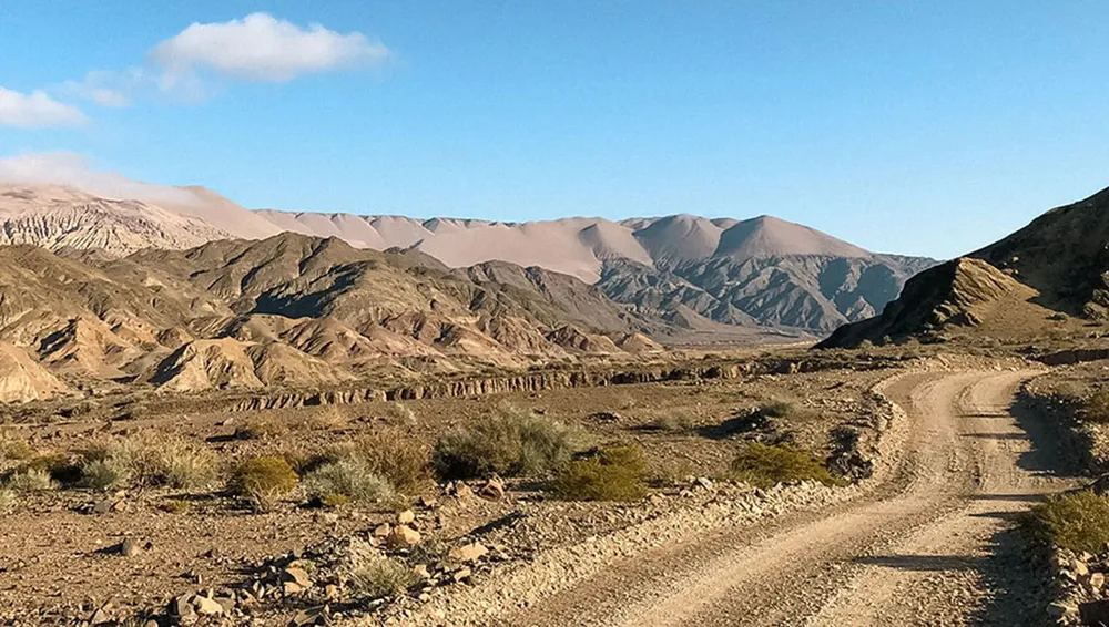 vicuna-mantenimiento-de-camino