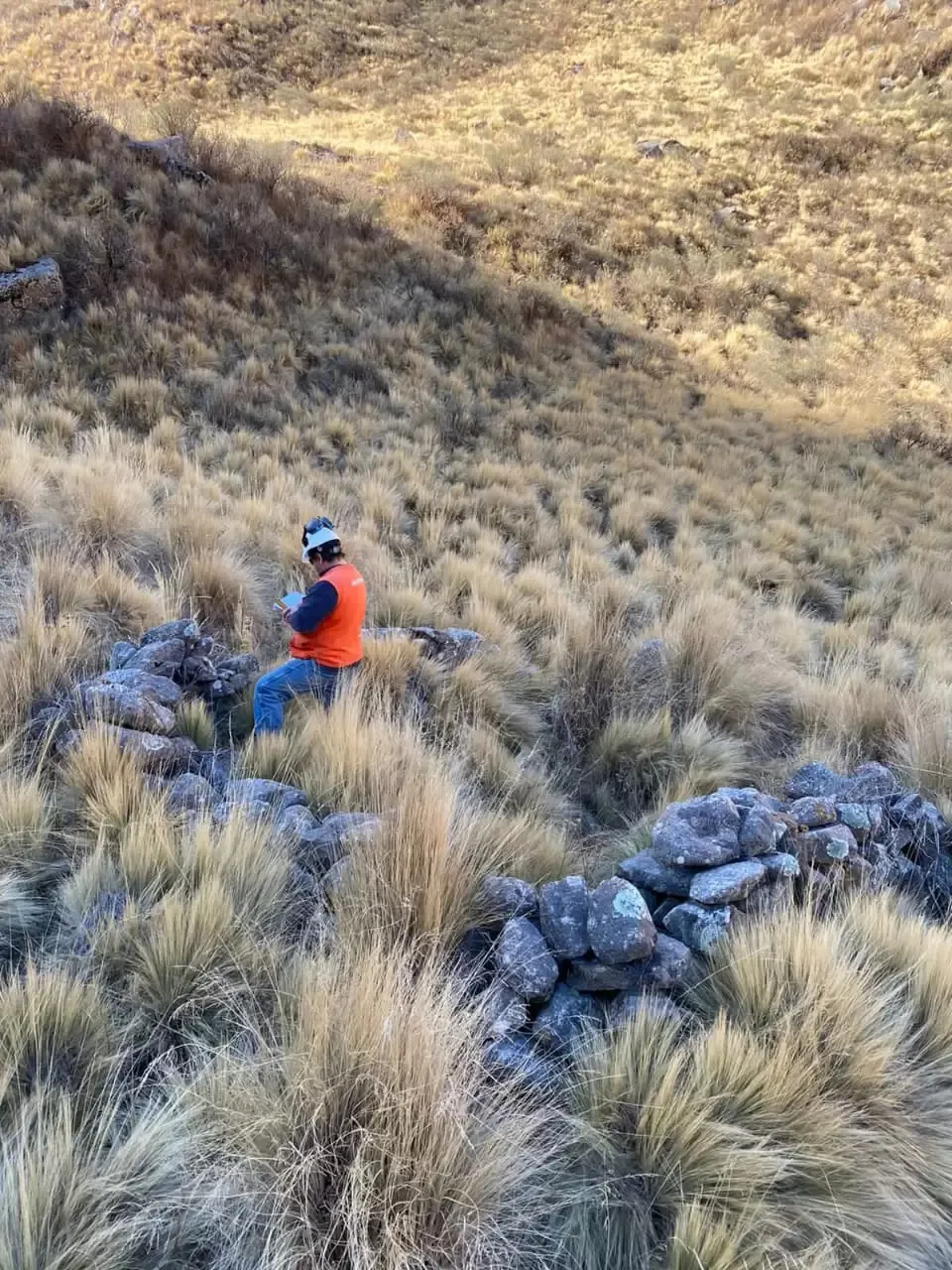 WhatsApp Image 2026-01-19 at 21.05.27