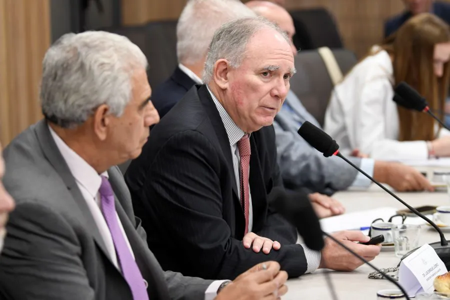 lucero diputados dos