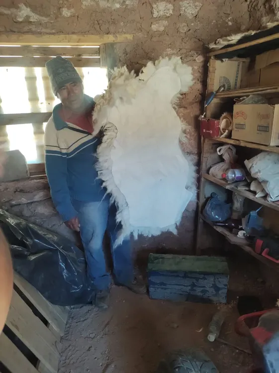 EXAR RSE CURTIEMBRE FEBRERO 24) (2)