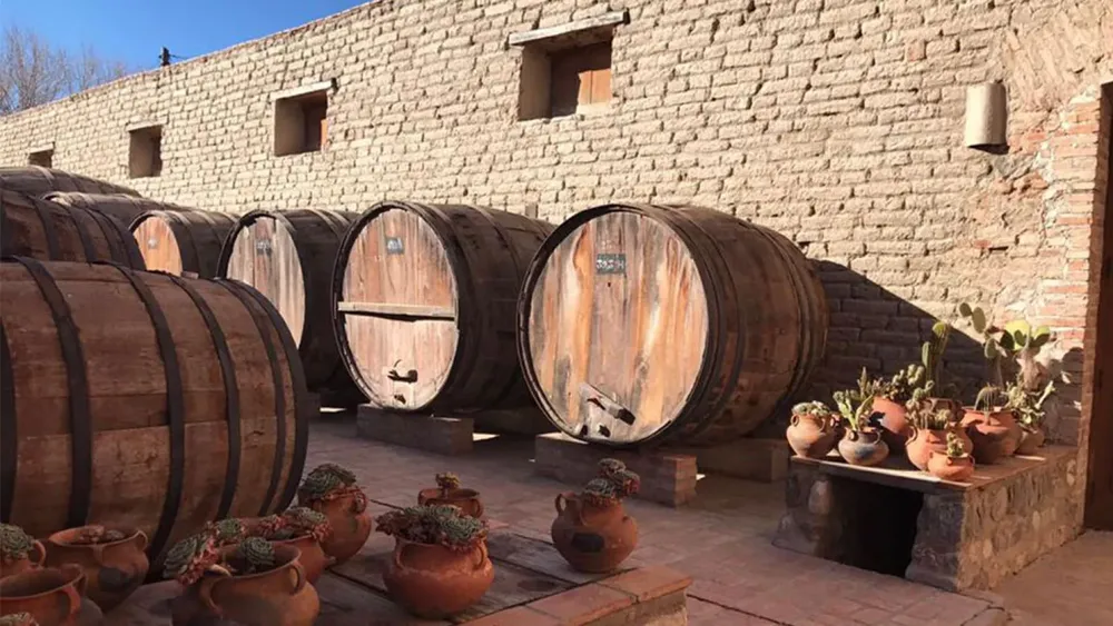 4000-bodega-el-porvenir-cafayate