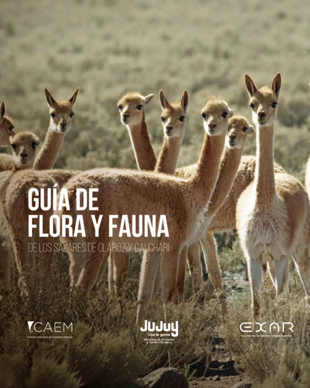 EXAR Guía Flora y Fauna